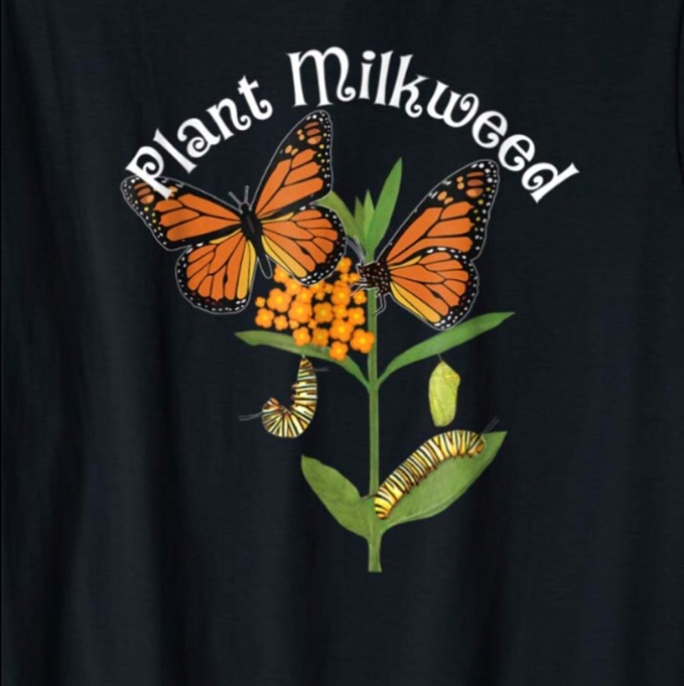 We are here to serve & spread God’s love. - Picture 8 of 15